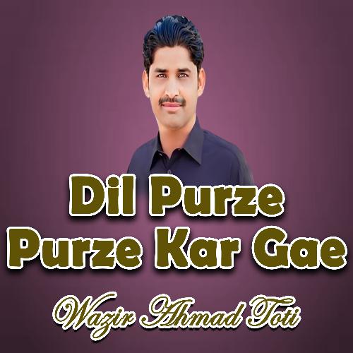 Dil Purze Purze Kar Gae