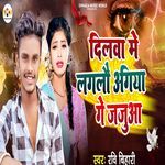 Dilwa Me Lagalou Agiya Ge Jajuwa