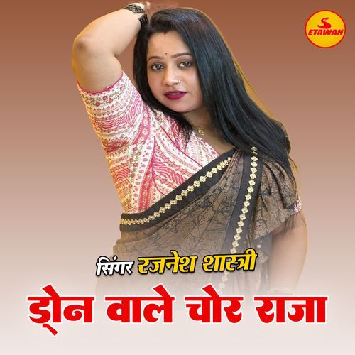 Drone Vale Chor Raja