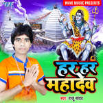 Sawan Me Lei Ke Kawariya