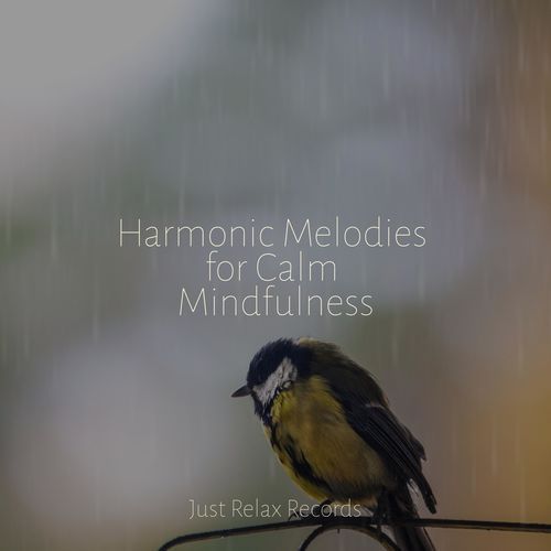 Harmonic Melodies for Calm Mindfulness