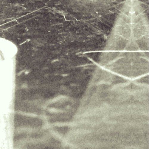 Yscan cover art
