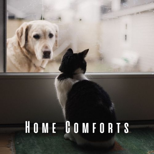 Home Comforts: Chill Music for Playful Pets_poster_image