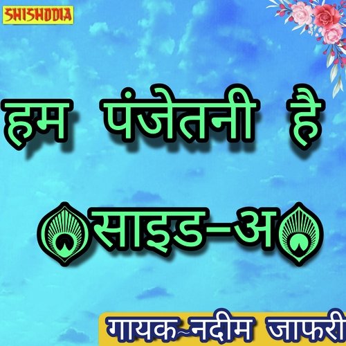 Hum Panjetani hain side A