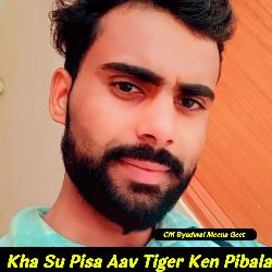 Kha Su Pisa Aav Tiger Ken Pibala-AjETAxNZaH0