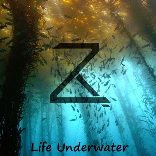 Life Underwater