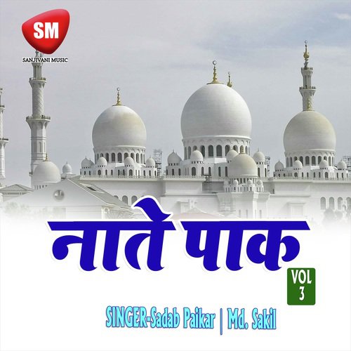 Naate Paak Vol-3 (Urdu Islamic Naat)_poster_image