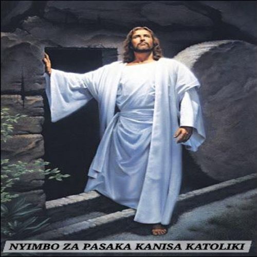 Chereko Chereko cover art