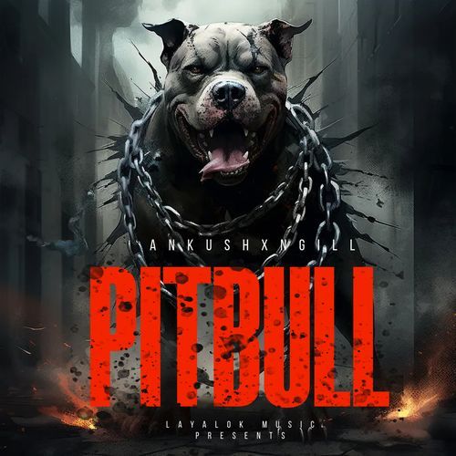 Pitbull