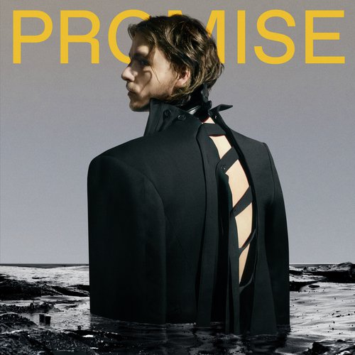 Promise_poster_image