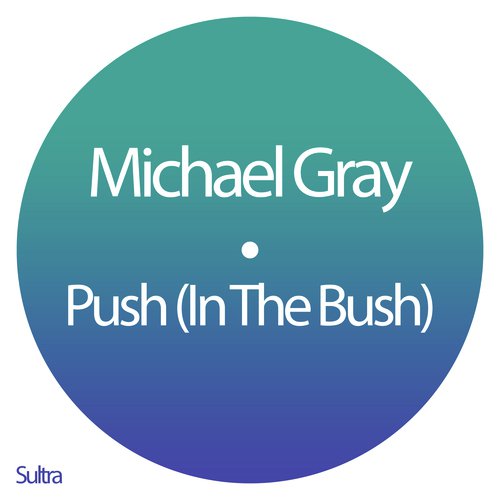 Push (In The Bush)_poster_image