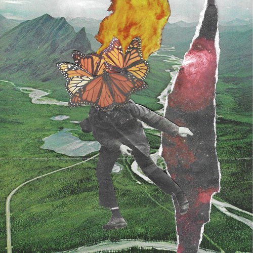 Sealegs cover art