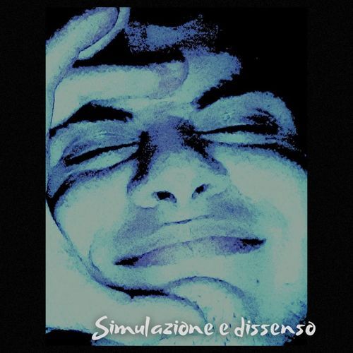 Simulazione e dissenso