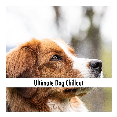Dog Free Chillout cover art