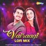 Vairaagi Lofi Mix
