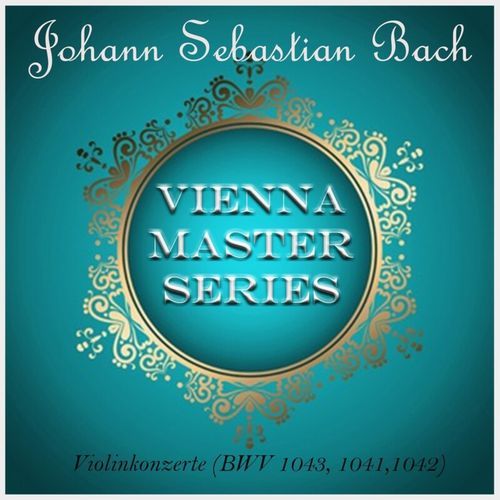 Violin Concerto No. 2 in E Major, BWV 1042: I. Allegro