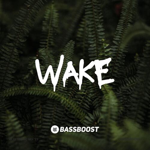 Wake