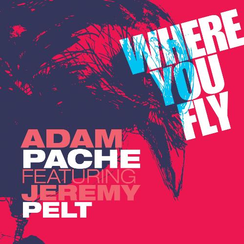 Where You Fly_poster_image