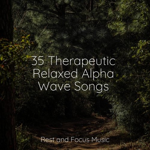 35 Therapeutic Relaxed Alpha Wave Songs