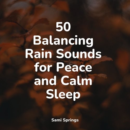 50 Balancing Rain Sounds for Peace and Calm Sleep_poster_image