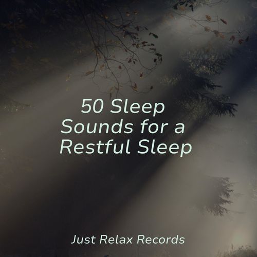 50 Sleep Sounds for a Restful Sleep