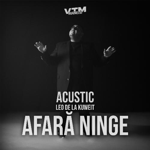 Afară ninge (Acustic)_poster_image