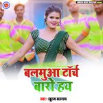 Balamua Tourch Baro Hay