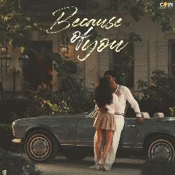 Because Of You-Mwc4WQJRZHw