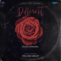 Different-MlEcY0F8Ymo