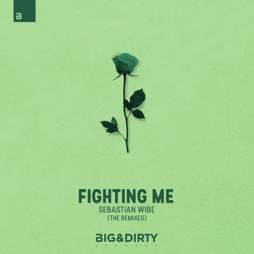 Fighting Me (The Remixes)_poster_image