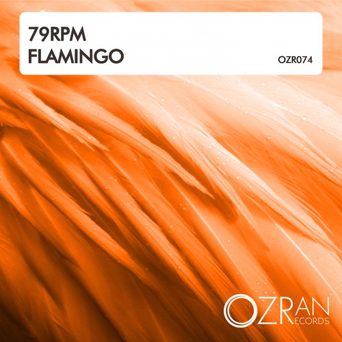 Flamingo (Radio Mix) cover art