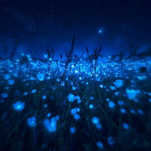 Fragments cover art