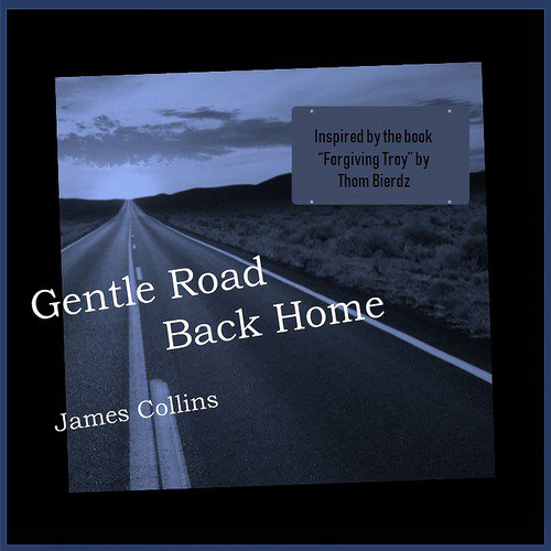 Gentle Road Back Home_poster_image