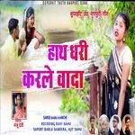 Haath Dhari Karle Wada