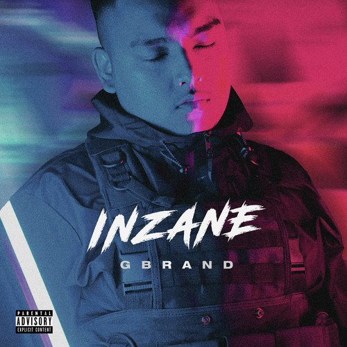 INZANE cover art