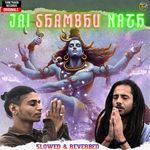 Jai Shambhu Nath (Slowed And Reverbed)