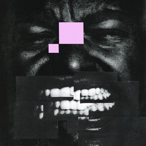 KING KONG FEAT HAWA & THEO CROKER / NO FUTURE /dear freedom