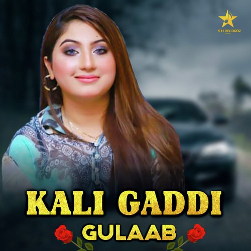 Kali Gaddi