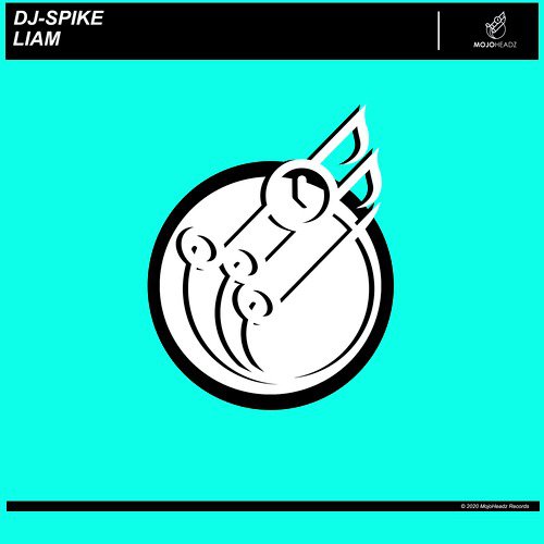 Liam cover art