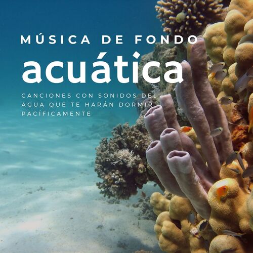 Sonidos de Ballenas Bajo el Agua cover art