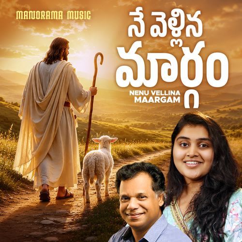 Nenu Vellina Maargam