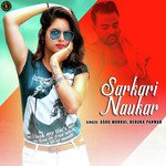 Sarkari Naukar