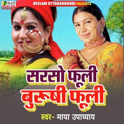 Sarso Phooli Burushi Phooli