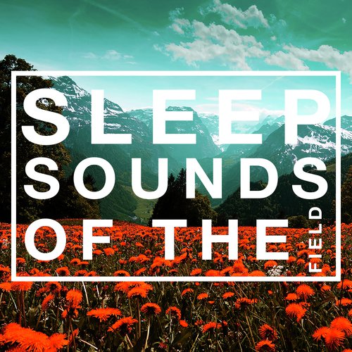 Sleep Sounds of the Fields