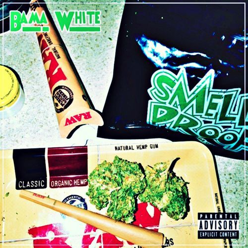 Dolo cover art