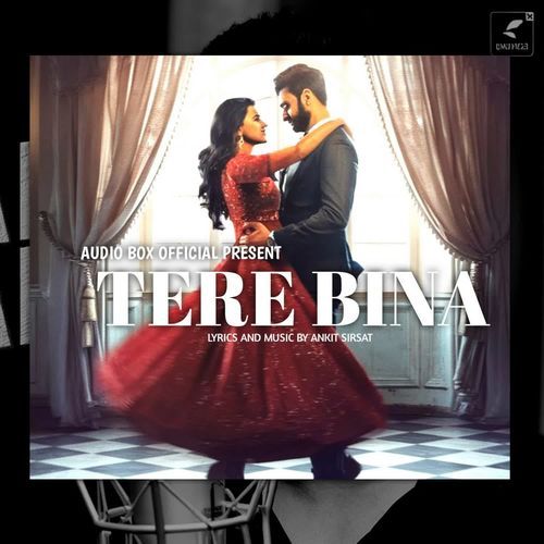 TERE BINA