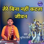 Tere Bina Nahi Katata Jiwan