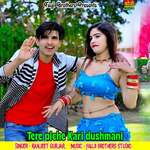 Tere Piche Kari Dushmani