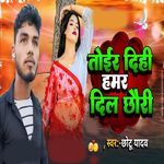 Toir Dihi Hamar Dil Chhauri