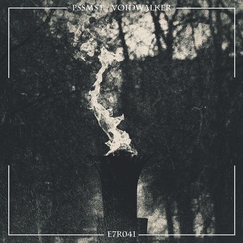 Voidwalker cover art
